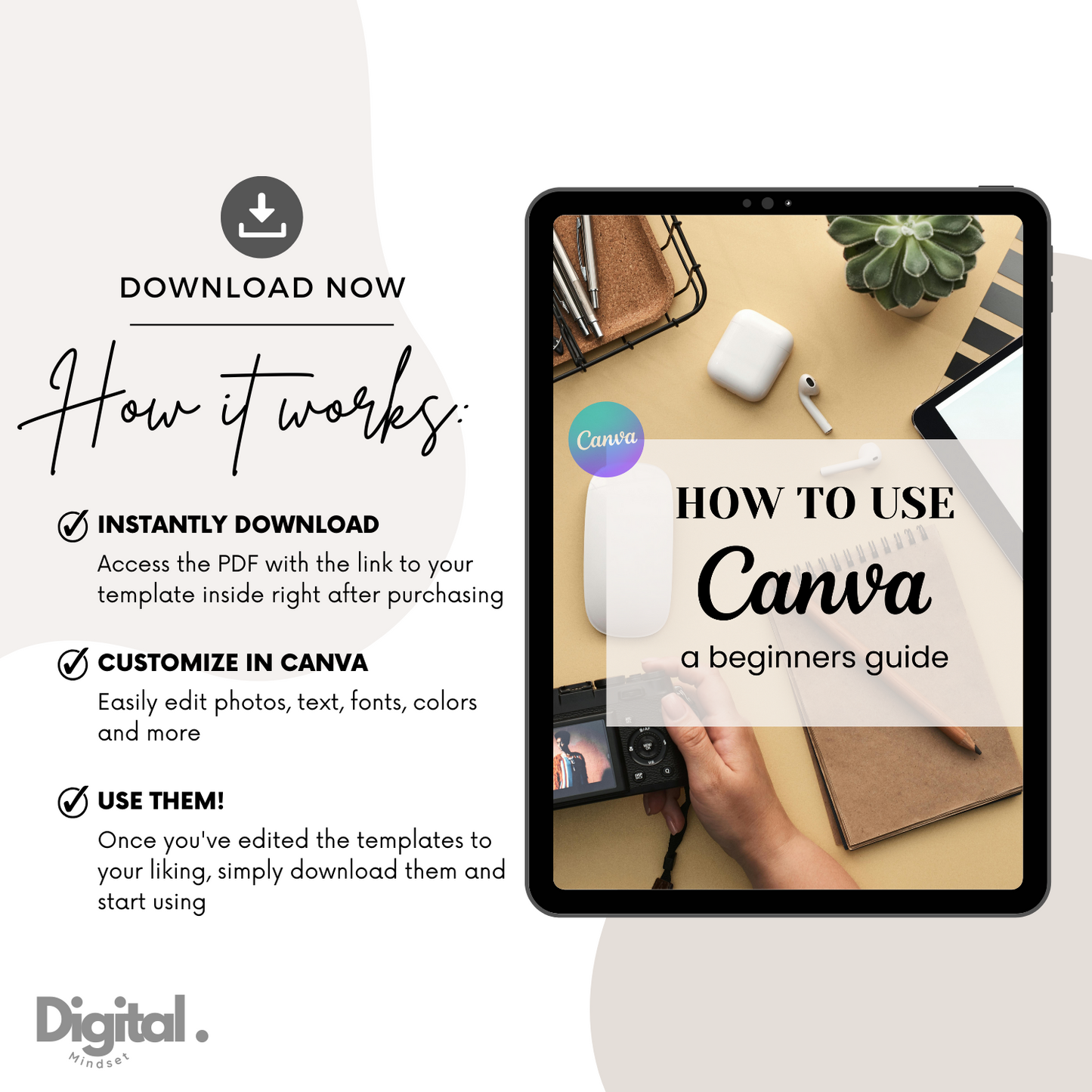 How to use Canva for beginners guide